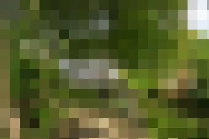 Hoenderloseweg 145 Ugchelen thumbnail 51