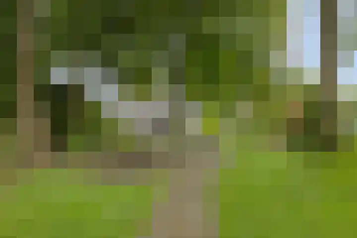Hoenderloseweg 145 Ugchelen thumbnail 52