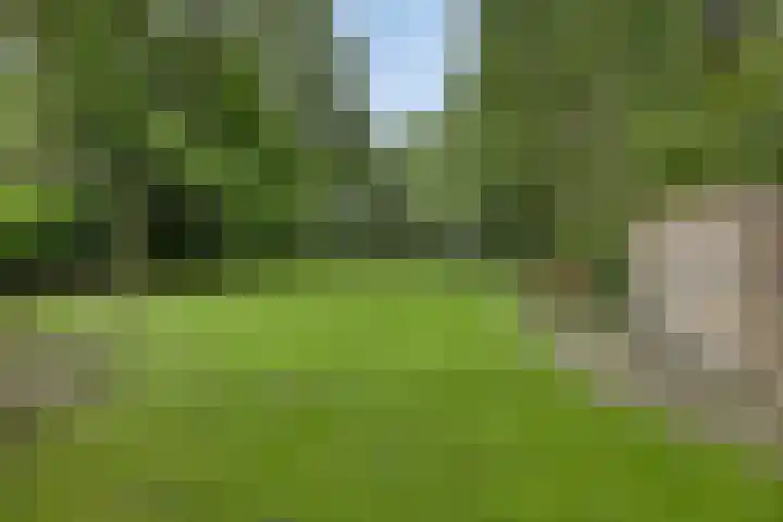 Hoenderloseweg 145 Ugchelen thumbnail 53