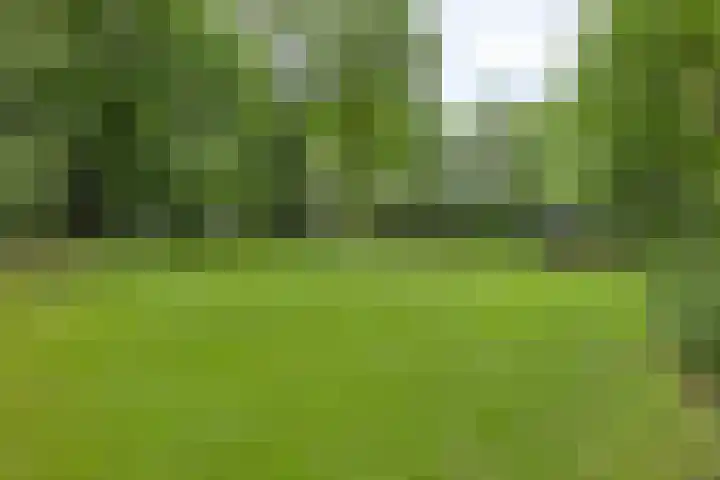 Hoenderloseweg 145 Ugchelen thumbnail 54