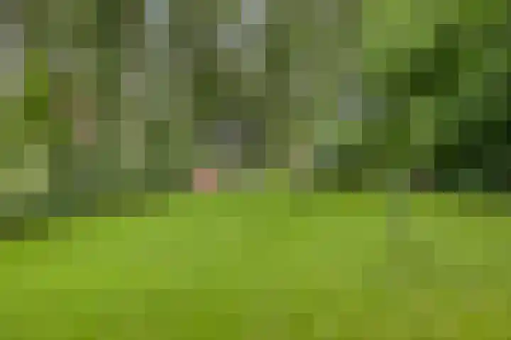 Hoenderloseweg 145 Ugchelen thumbnail 55