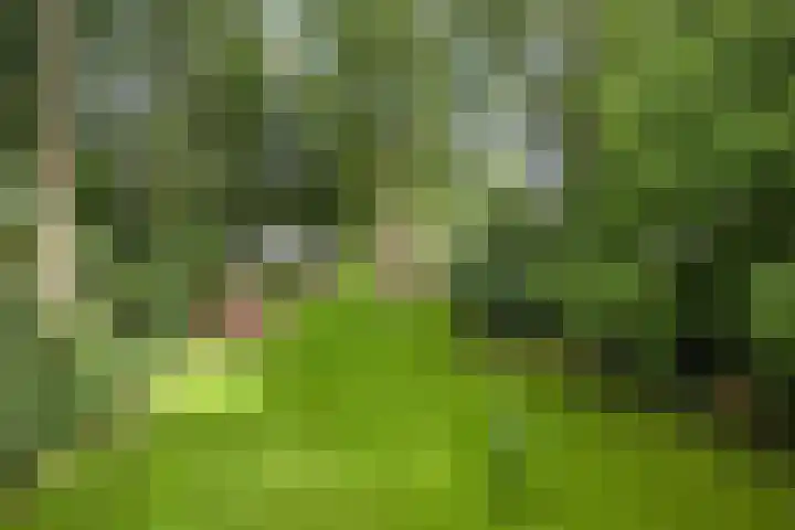Hoenderloseweg 145 Ugchelen thumbnail 56