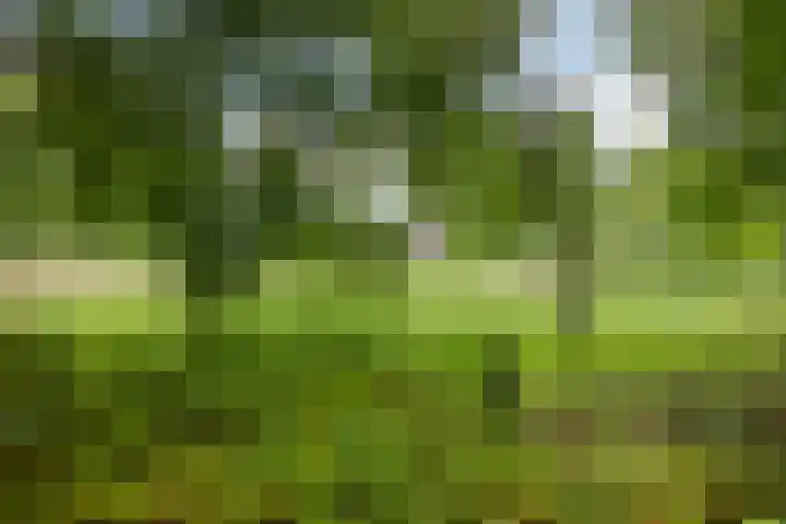 Hoenderloseweg 145 Ugchelen thumbnail 57