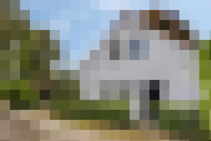Hoenderloseweg 145 Ugchelen thumbnail 59