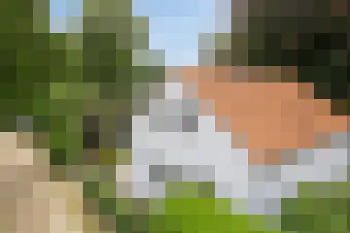 Hoenderloseweg 145 Ugchelen thumbnail 63