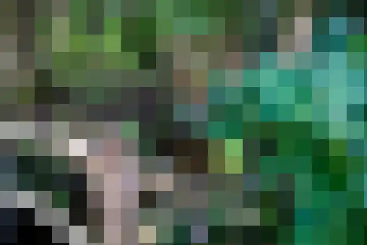 Hoenderloseweg 145 Ugchelen thumbnail 66