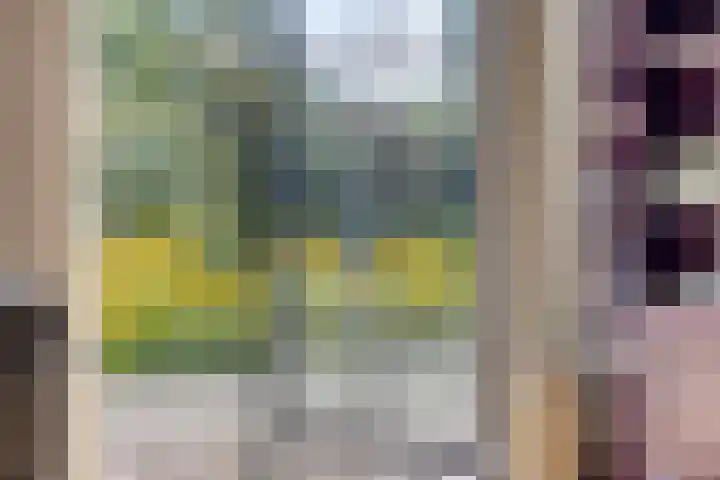 Hoenderloseweg 145 Ugchelen thumbnail 7
