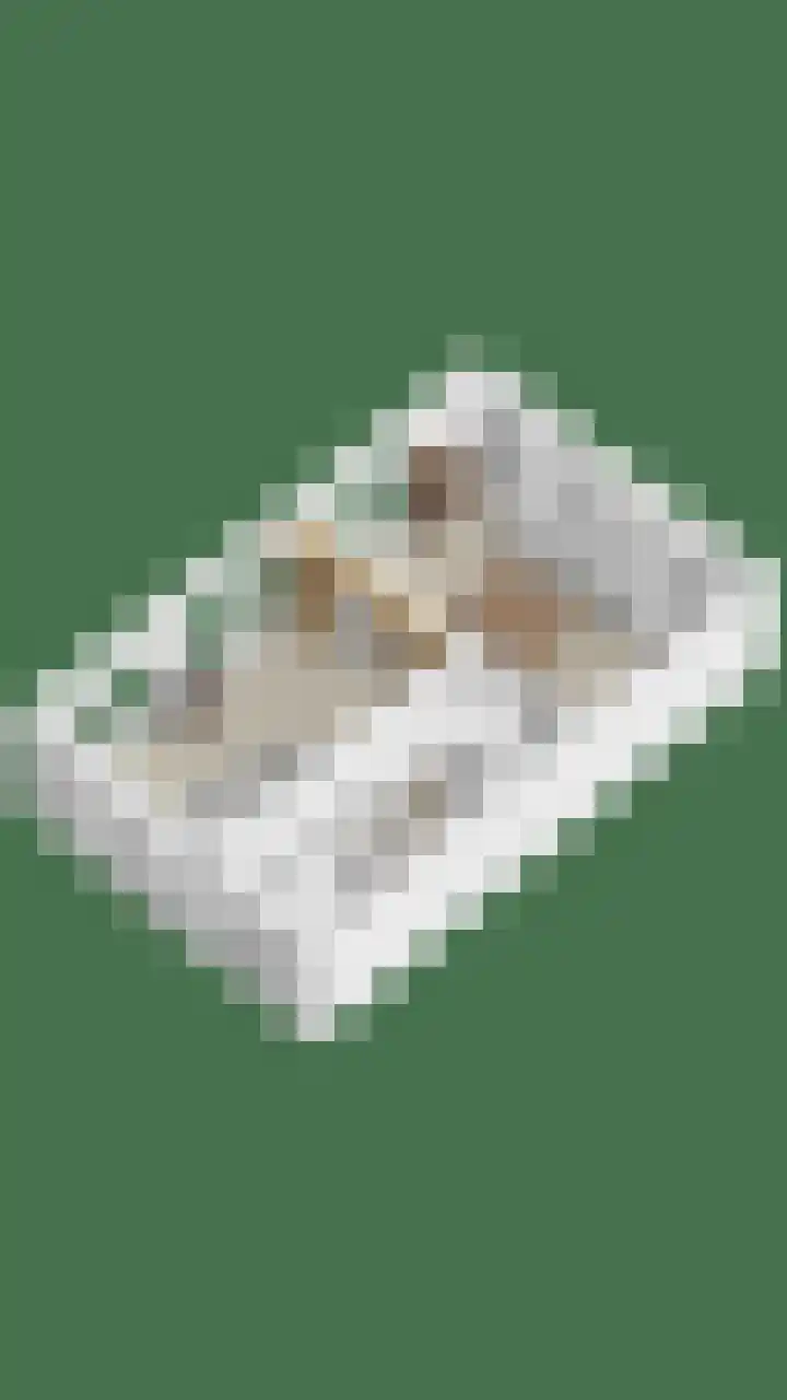 Hoenderloseweg 145 Ugchelen thumbnail 72