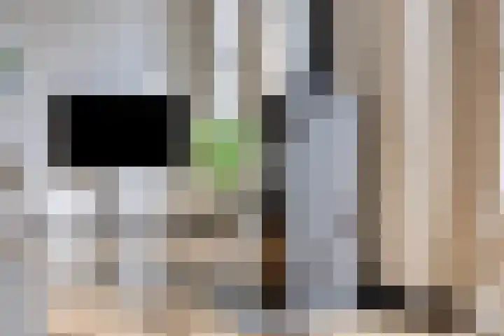 Hoenderloseweg 145 Ugchelen thumbnail 9