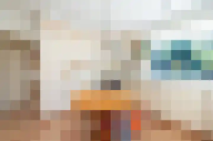 Hoenderloseweg 15 Ugchelen thumbnail 13