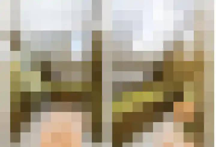Hoenderloseweg 15 Ugchelen thumbnail 16