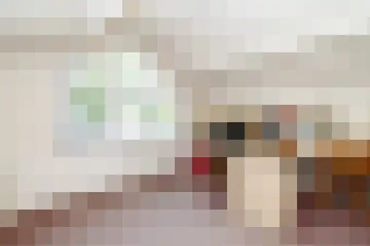 Hoenderloseweg 15 Ugchelen thumbnail 18