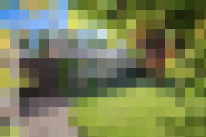 Hoenderloseweg 15 Ugchelen thumbnail 24