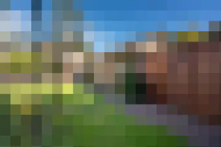 Hoenderloseweg 15 Ugchelen thumbnail 27