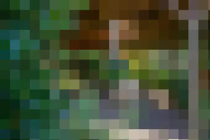 Hoenderloseweg 15 Ugchelen thumbnail 28