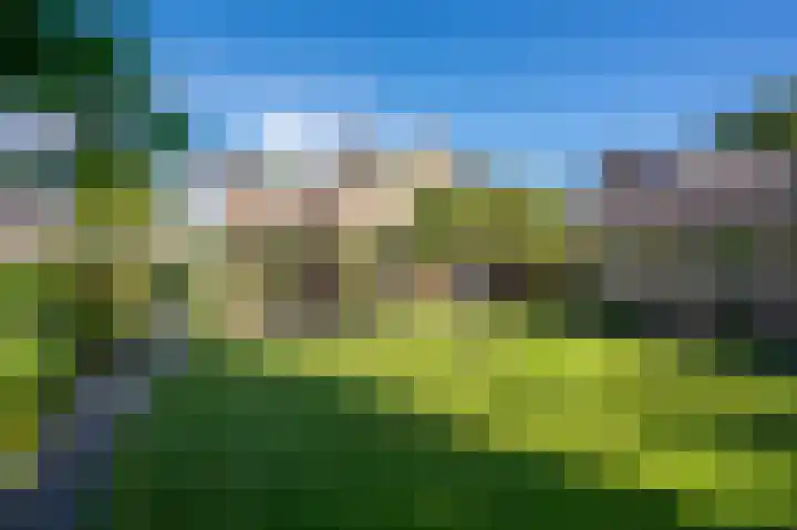 Hoenderloseweg 15 Ugchelen thumbnail 29