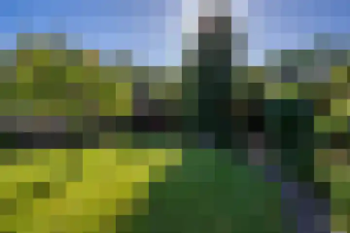 Hoenderloseweg 15 Ugchelen thumbnail 31