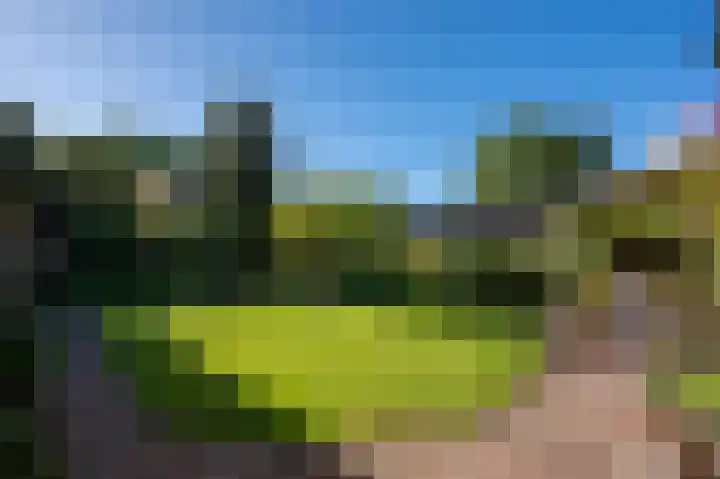 Hoenderloseweg 15 Ugchelen thumbnail 32