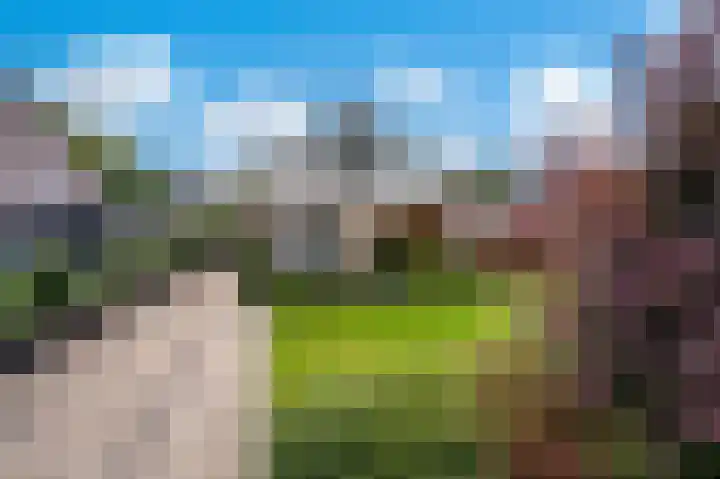 Hoenderloseweg 15 Ugchelen thumbnail 34