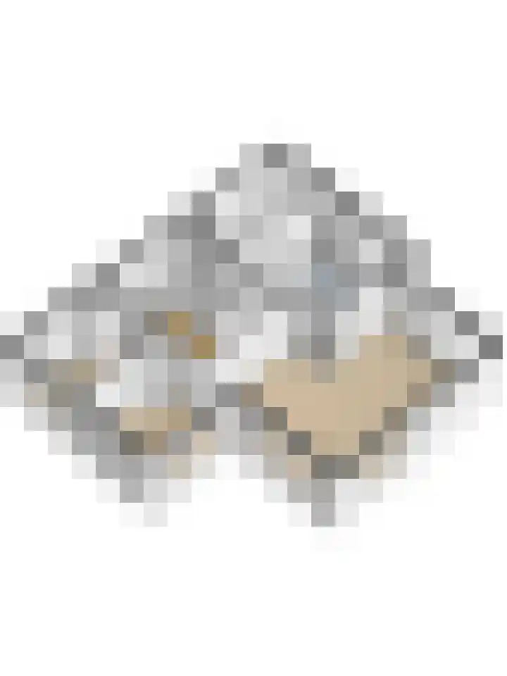 Hoenderloseweg 15 Ugchelen thumbnail 38