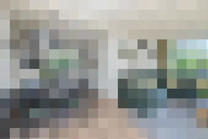Hoenderloseweg 36 Ugchelen thumbnail 11