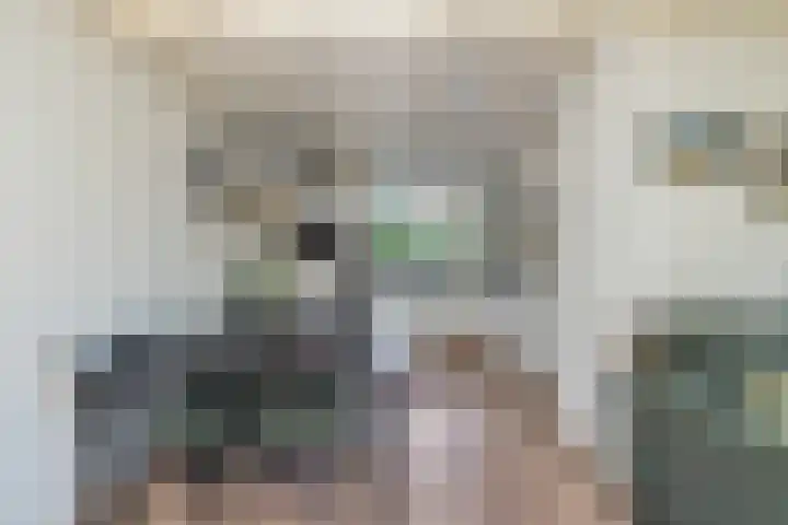 Hoenderloseweg 36 Ugchelen thumbnail 17