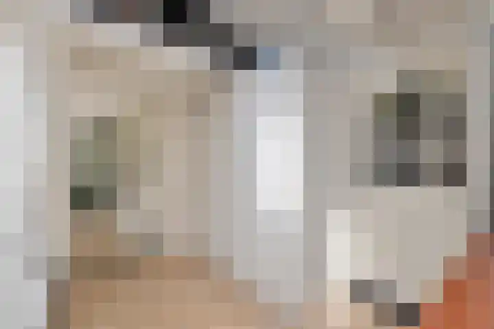Hoenderloseweg 36 Ugchelen thumbnail 23
