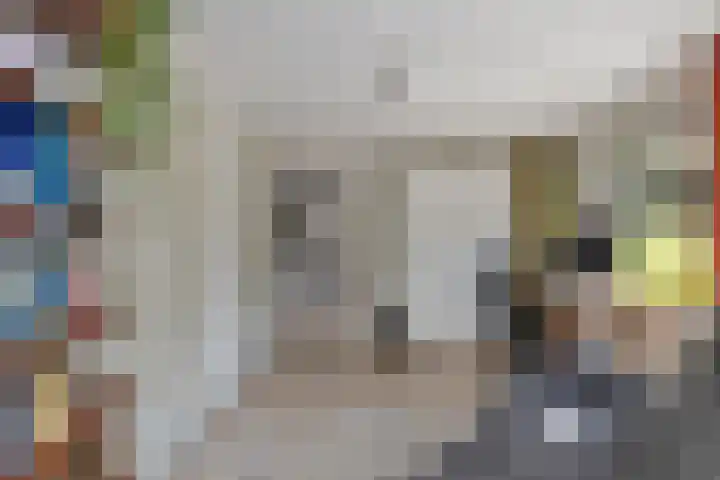 Hoenderloseweg 36 Ugchelen thumbnail 25