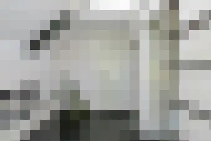 Hoenderloseweg 36 Ugchelen thumbnail 26