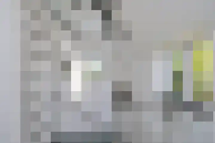 Hoenderloseweg 36 Ugchelen thumbnail 27