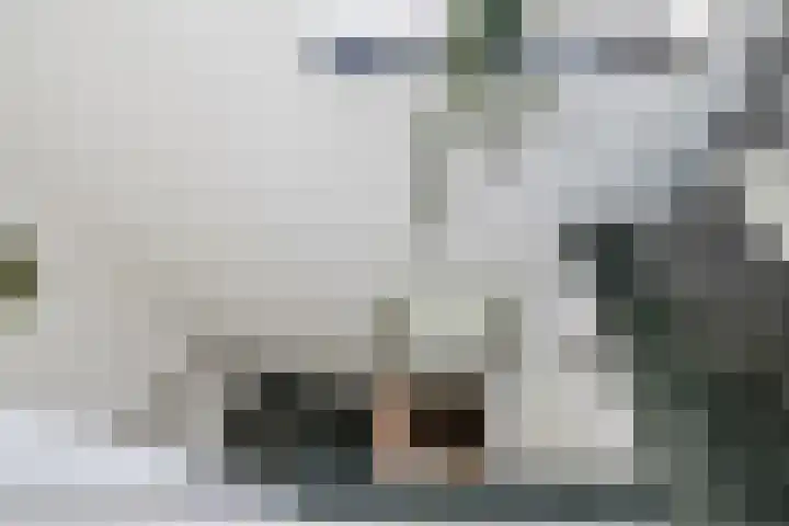 Hoenderloseweg 36 Ugchelen thumbnail 28