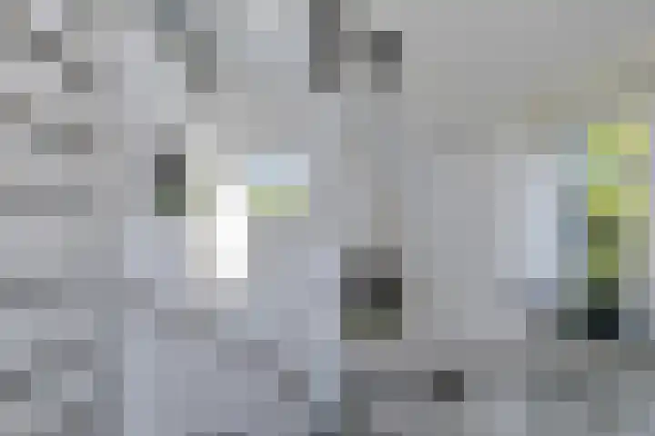 Hoenderloseweg 36 Ugchelen thumbnail 29