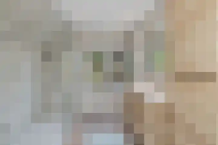 Hoenderloseweg 36 Ugchelen thumbnail 30