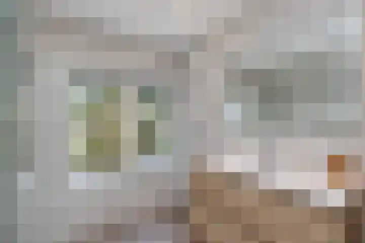 Hoenderloseweg 36 Ugchelen thumbnail 31