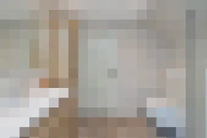 Hoenderloseweg 36 Ugchelen thumbnail 32