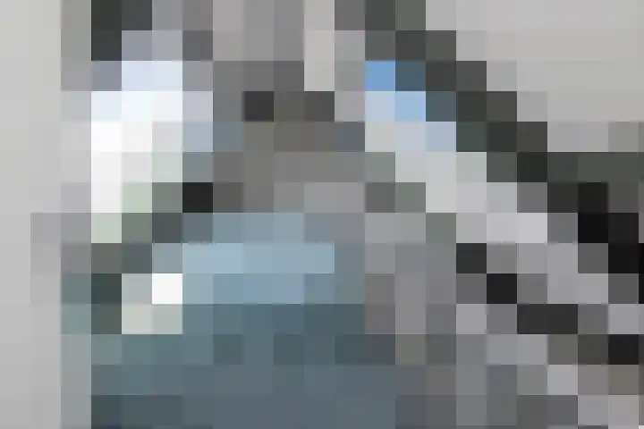 Hoenderloseweg 36 Ugchelen thumbnail 42