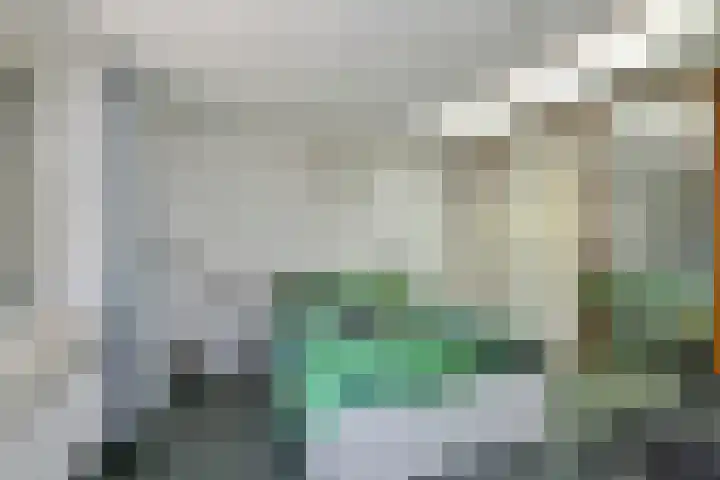 Hoenderloseweg 36 Ugchelen thumbnail 43