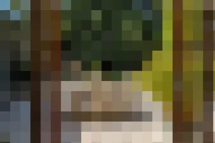 Hoenderloseweg 36 Ugchelen thumbnail 47