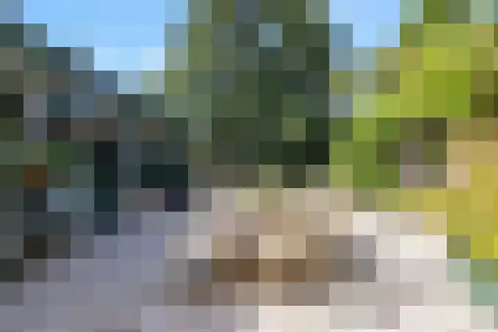 Hoenderloseweg 36 Ugchelen thumbnail 48