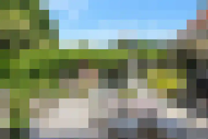 Hoenderloseweg 36 Ugchelen thumbnail 49