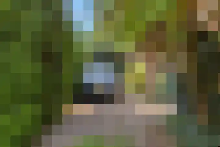 Hoenderloseweg 36 Ugchelen thumbnail 5