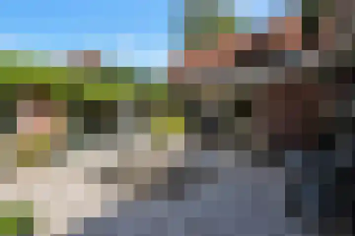 Hoenderloseweg 36 Ugchelen thumbnail 50