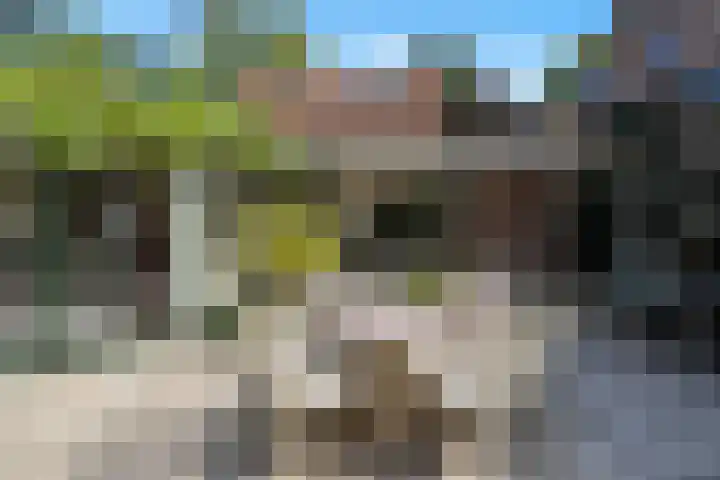 Hoenderloseweg 36 Ugchelen thumbnail 51