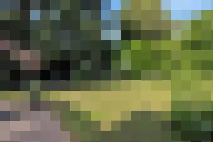 Hoenderloseweg 36 Ugchelen thumbnail 52