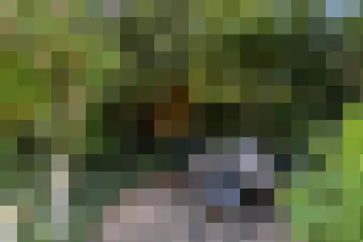 Hoenderloseweg 36 Ugchelen thumbnail 54