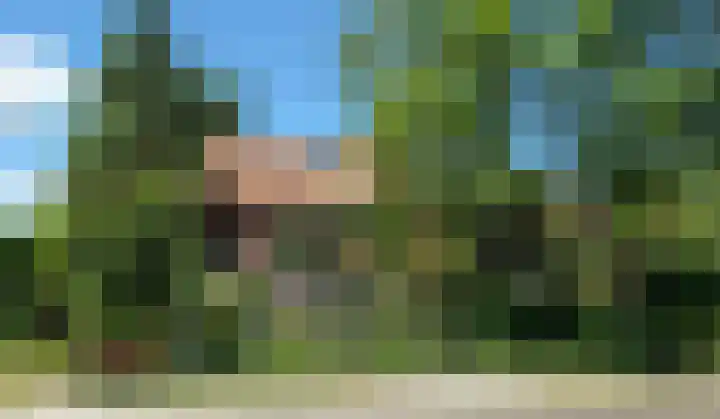 Hoenderloseweg 36 Ugchelen thumbnail 56