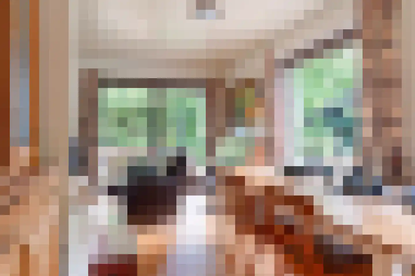 Hoenderloseweg 42 Ugchelen thumbnail 13