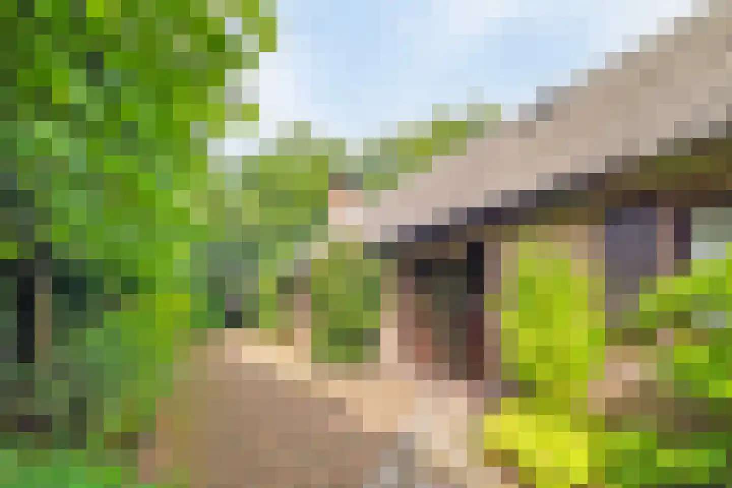 Hoenderloseweg 42 Ugchelen thumbnail 22