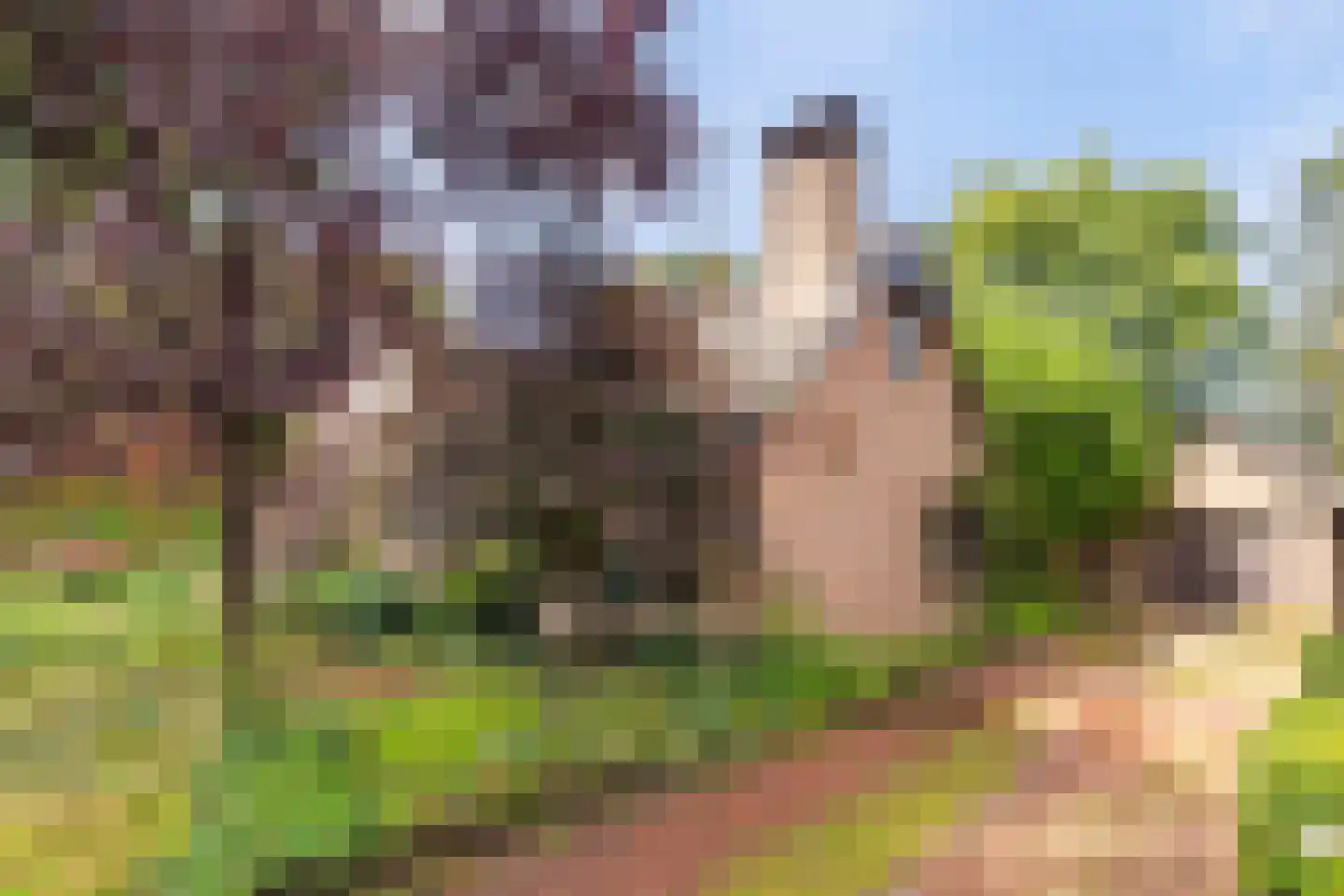 Hoenderloseweg 42 Ugchelen thumbnail 23