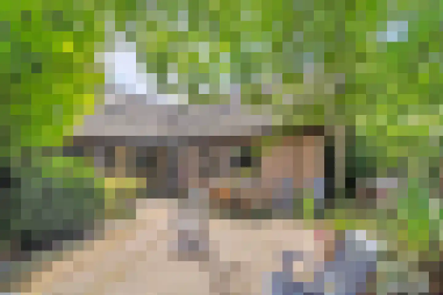 Hoenderloseweg 42 Ugchelen thumbnail 25